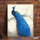 A054 Blue Peacock - Left 